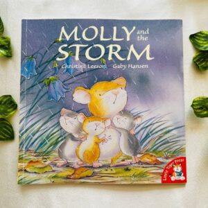 Molly and the Storm: Picture Story Book