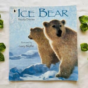 Ice Bear: Picture Story Book