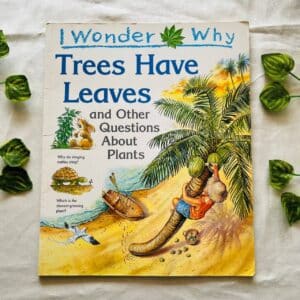 I Wonder Why Trees Have Leaves