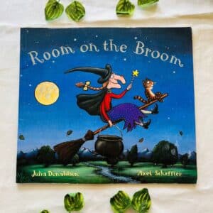 Room on the Broom: Picture Story Book