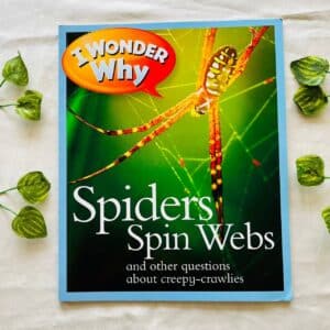 I Wonder Why Spiders Spin Webs