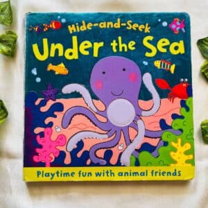 Hide-and-Seek Under the Sea: Board Book