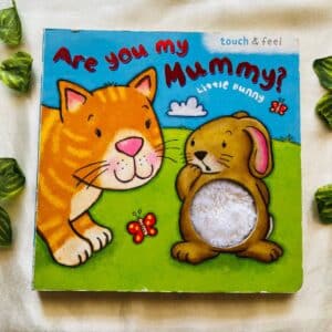 Are You My Mummy? Little Bunny: Touch & Feel Board Book