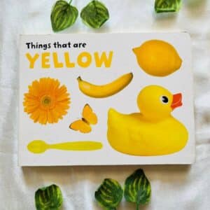 Things that are Yellow: Board Book