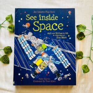 Usborne See Inside Space: Large Board Book With Over 50 Flaps