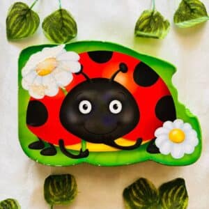 My Chunky Friend Story Ladybird: Board Book