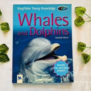 Whales and Dolphins