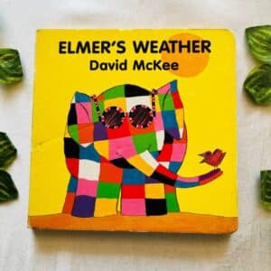 Elmer's Weather: Board Book