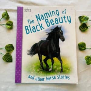 The Naming of Black Beauty and Other Silly Horse Stories