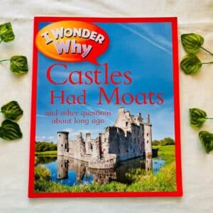 I Wonder Why Castles Had Moats