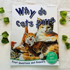 Why do Cats Purr?