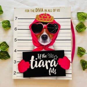 If the Tiara Fits