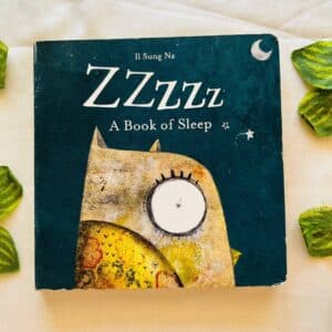 Zzzzz A Book of Sleep: Board Book