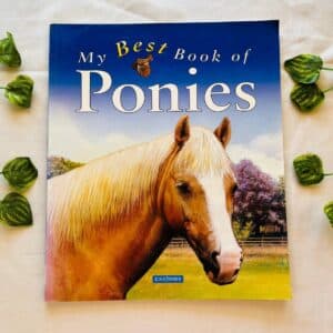 My Best Book of Ponies
