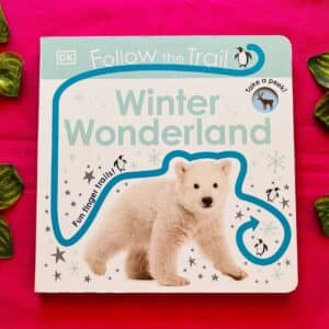 Winter Wonderland: Board Book