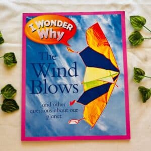 I Wonder Why The Wind Blows