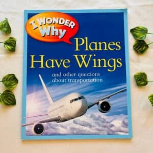 I Wonder Why Planes Have Wings