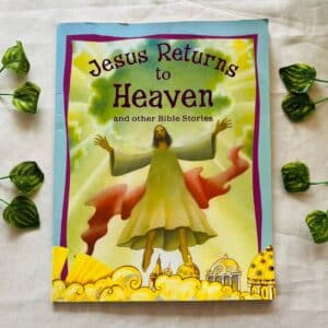Jesus Returns to Heaven and Other Bible Stories