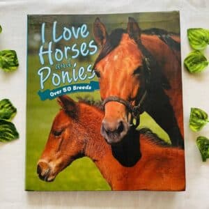 I Love Horses and Ponies