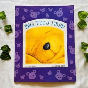 Big Ted's Tired: Picture Story Book