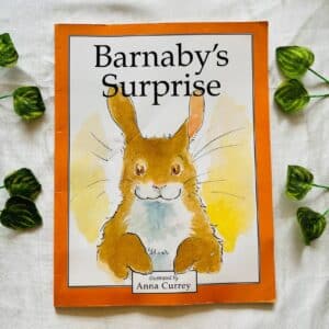 Barnaby's Suprise: Picture Story Book