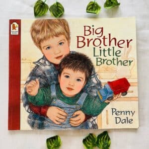 Big Brother Little Brother: Picture Story Book
