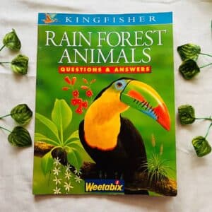 Rain Forest Animals