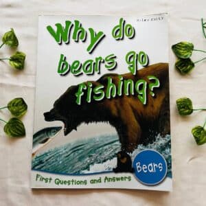 Why do Bears go Fishing?