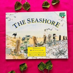 The Seashore: Picture Story Book