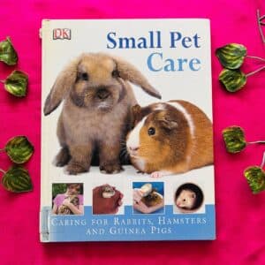 Small Pet Care