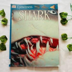 Eyewitness Shark