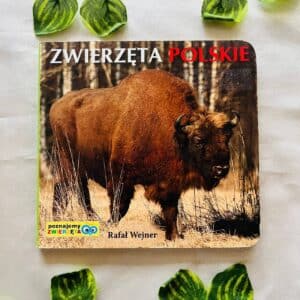 Zwierzeta Polskie: Board Book (Foreign Language)