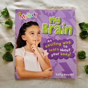 My Brain