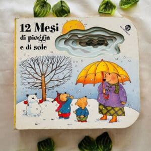 12 Mesi Di Pioggia e di Sole: Board Book (Foreign Language)