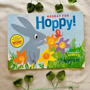 Hooray For Hoppy! Picture Story Book