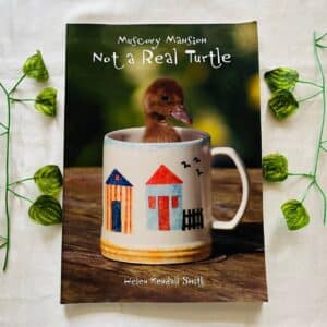 Muscovy Mansion Not a Real Turtle