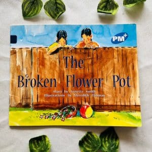 The Broken Flower Pot