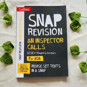 Snap Revision an Inspector Calls