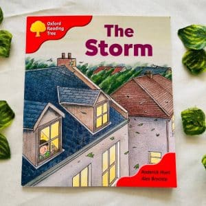 Oxford Reading Tree: The Storm