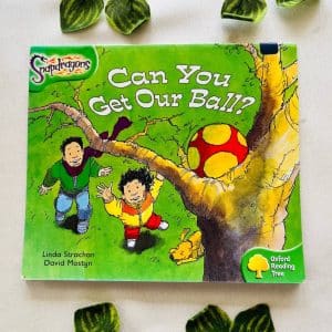 Can You Get Our Ball?