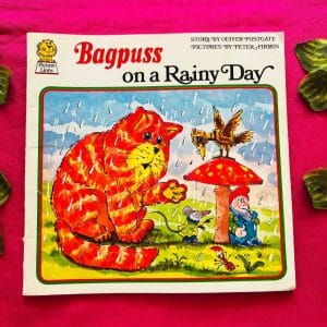 Bagpus On a Rainy Day