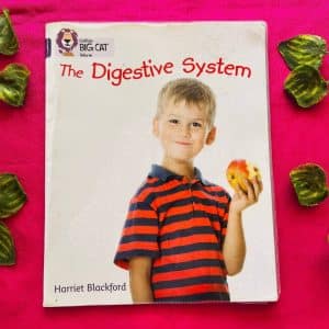 The Digestive System