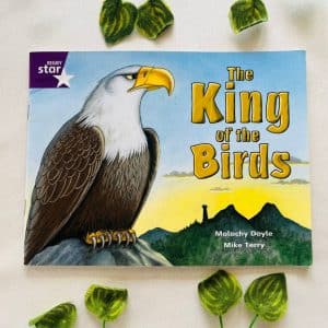 The King of the Birds