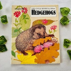 Hedgehogs