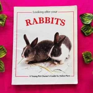Rabbit's