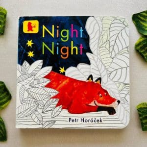 Night Night: Board Book