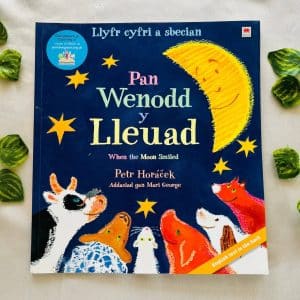 Pan Wenodd y Lleuad: Picture Story Book (Foreign Language)