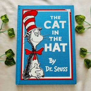 The Cat in the Hat By Dr. Seuss