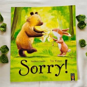 Sorry! Picture Story Book