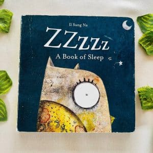 Zzzzz A Book of Sleep: Board Book